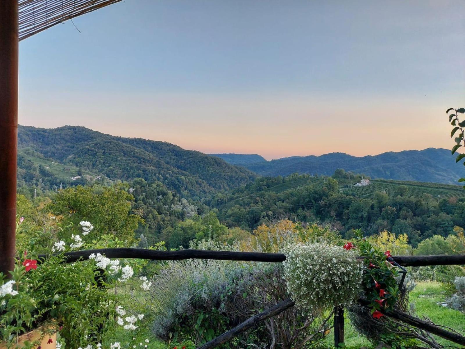Agriturismo Le Noci Tarzo Extérieur photo