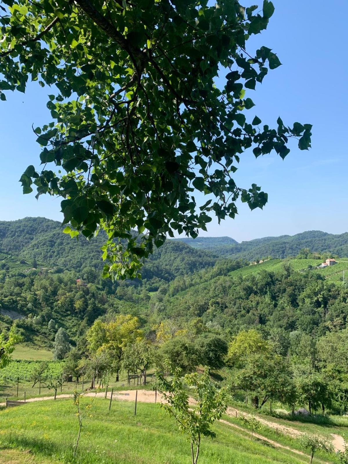 Agriturismo Le Noci Tarzo Extérieur photo
