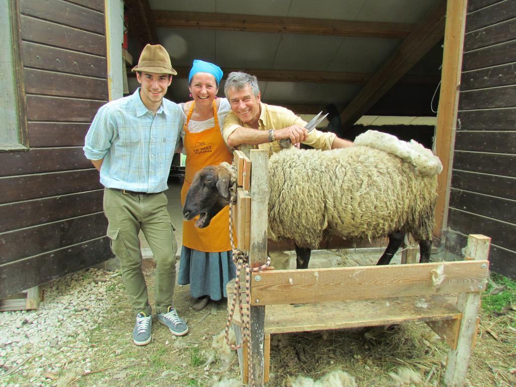Agriturismo Le Noci Tarzo Extérieur photo